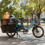Load image into Gallery viewer, LECTRIC XPedition Cargo Dual Battery Limited-Edition 750 w- Fat Tire Electric Cargo eBike **IN STORE ONLY**