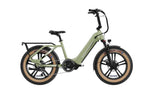 Load image into Gallery viewer, MOKWHEEL Scoria 750 w Step Thru Ebike 20x4 Fat Tire Electric Cargo eBike