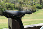 Load image into Gallery viewer, REVI Predator 750w Step Over Ebike 26x4 Fat Tire Electric Fat Tire Mountain eBike