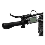 Load image into Gallery viewer, REVI Runabout 2 750w Step Thru Ebike 20x3 Fat Tire Mini Electric Cargo eBike