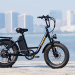 Load image into Gallery viewer, URLIFE E20 Pro 20*4.0 Inch Fat Tire Electric Bike