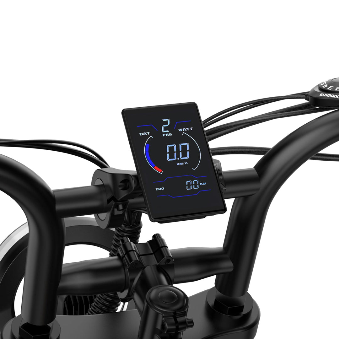 URLIFE T2 20*4.0 Inch Fat Tire Electric Bike