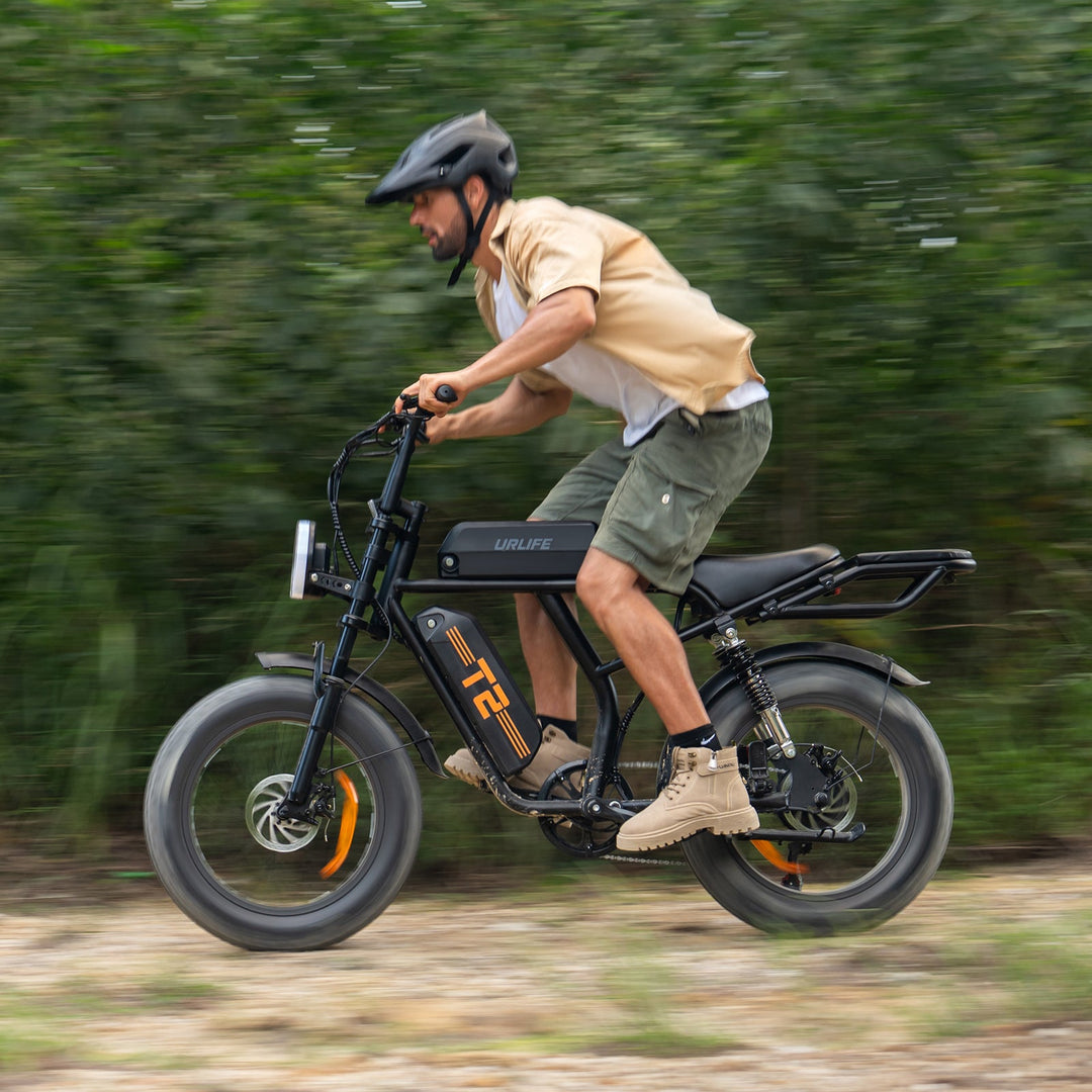 URLIFE T2 20*4.0 Inch Fat Tire Electric Bike