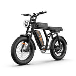 Load image into Gallery viewer, URLIFE T2 20*4.0 Inch Fat Tire Electric Bike