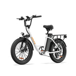 Load image into Gallery viewer, URLIFE E20 20*3.0 Fat Tire Commuting Electric Bike