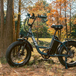 Load image into Gallery viewer, URLIFE E20 Pro 20*4.0 Inch Fat Tire Electric Bike