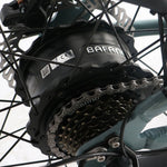 Load image into Gallery viewer, Step Over 24x3 - 52v 750W Beach Cruiser Electric Bike