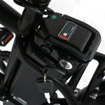 Load image into Gallery viewer, Step Over 24x3 - 52v 750W Beach Cruiser Electric Bike