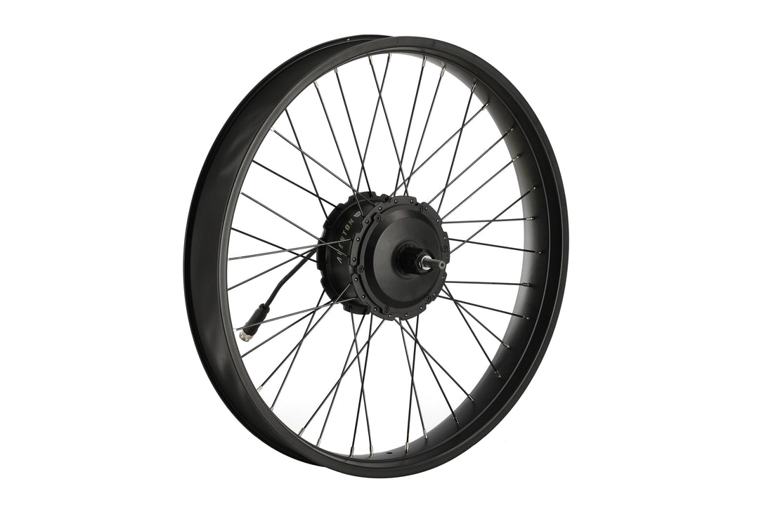 Electric Bike Rear Wheel – Series 209