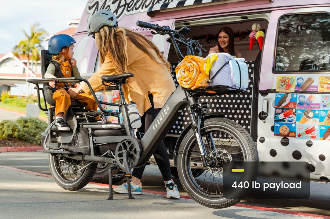 Cargo Electric Bike – Series 072