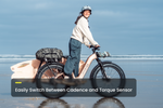 Load image into Gallery viewer, Fat Tire Electric Bike – Series 054