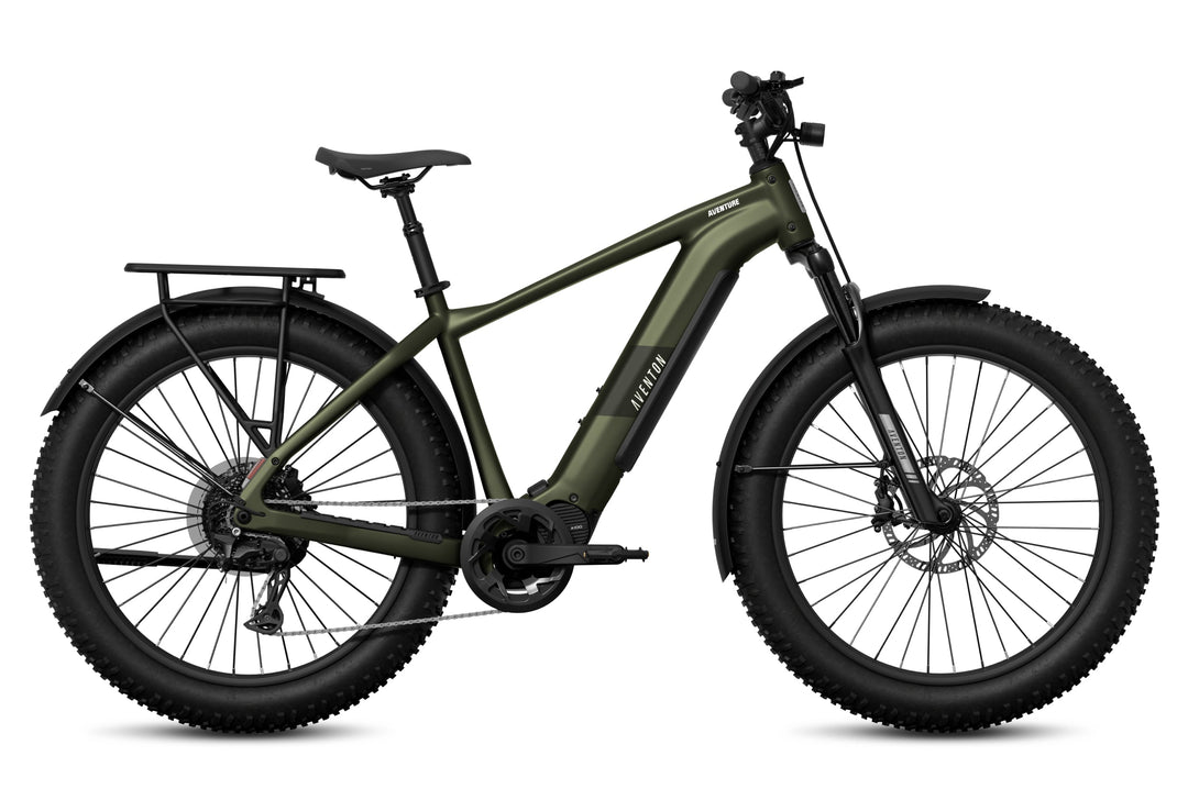 Fat Tire Electric Bike – Series 048
