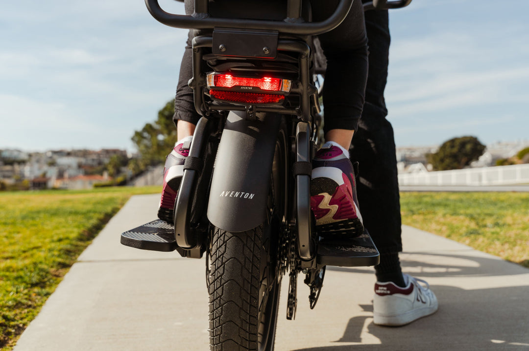 Cargo Electric Bike – Series 072