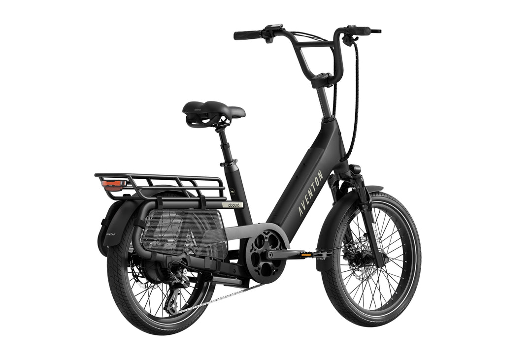 Cargo Electric Bike – Series 123