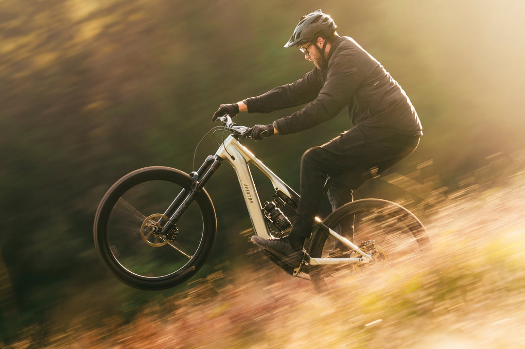 City Commuter Electric Bike – Series 025