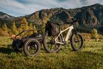 Load image into Gallery viewer, Fat Tire Electric Bike – Series 054