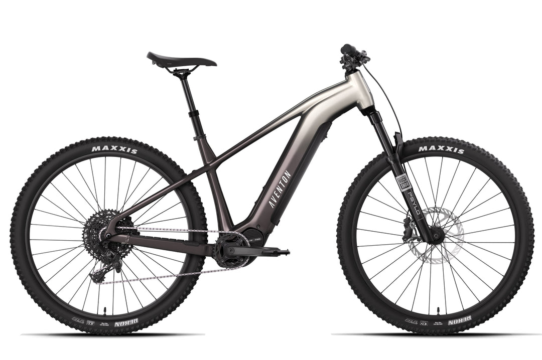 Electric Mountain Bike – Series 028