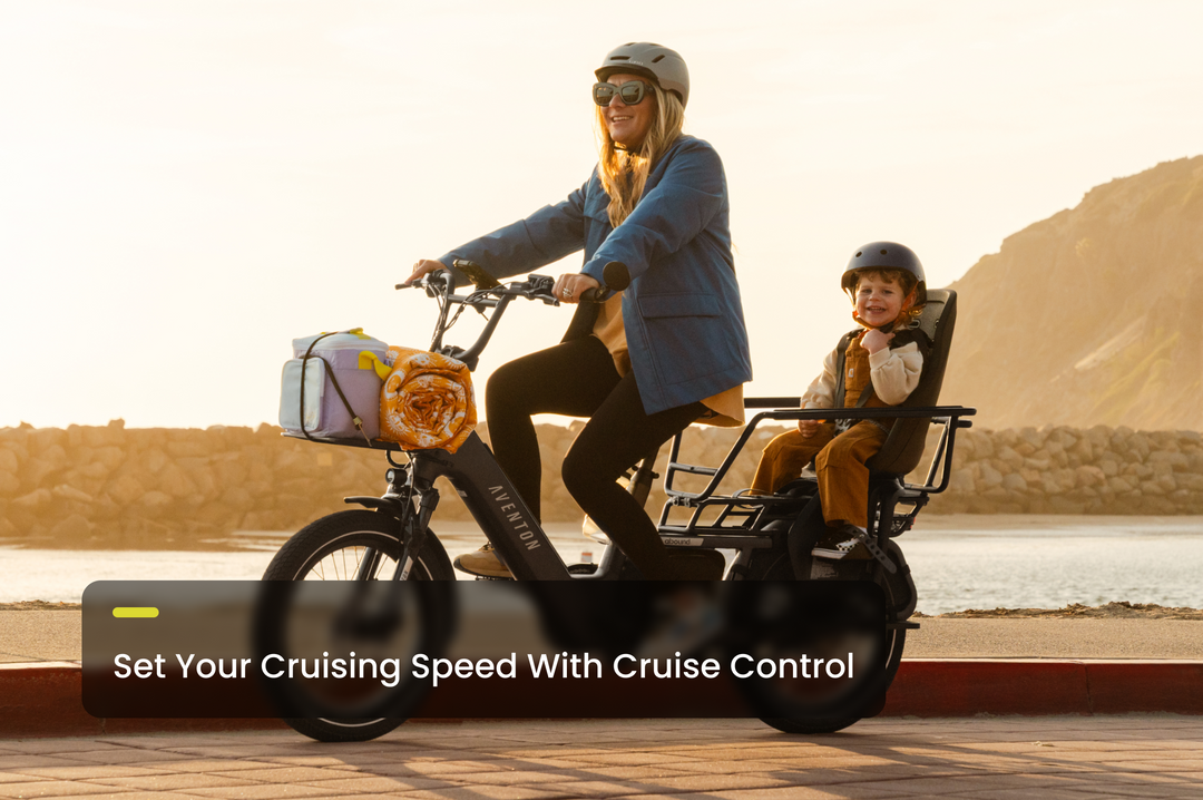 Cargo Electric Bike – Series 072