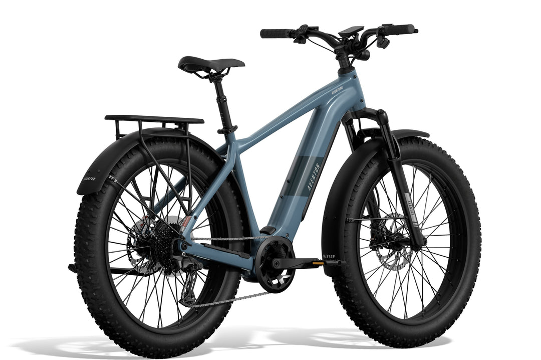 Fat Tire Electric Bike – Series 048