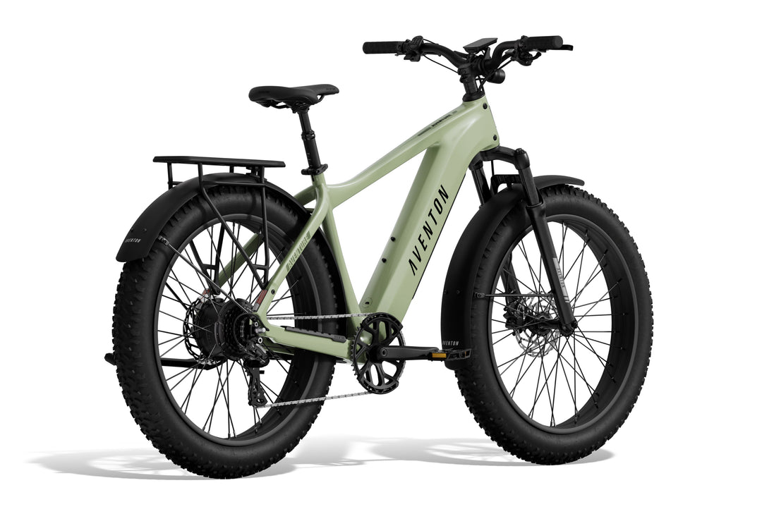 Fat Tire Electric Bike – Series 054