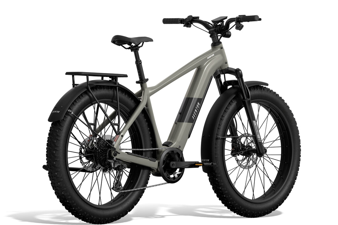 Fat Tire Electric Bike – Series 048