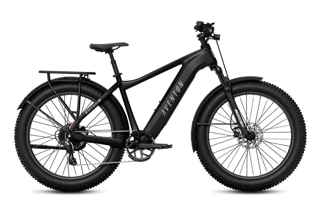 Fat Tire Electric Bike – Series 054