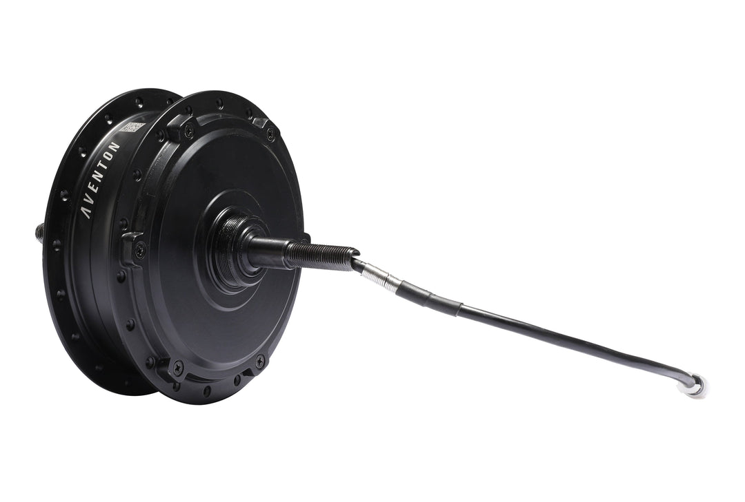Electric Bike Rear Hub Motor & Nut Set – Series 171