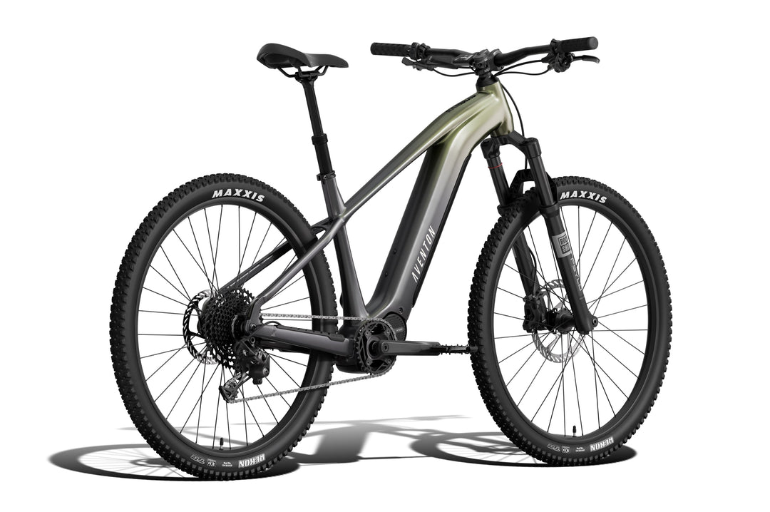 Electric Mountain Bike – Series 028