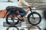 Load image into Gallery viewer, Step-Through Fat Tire Electric Bike – Series 053