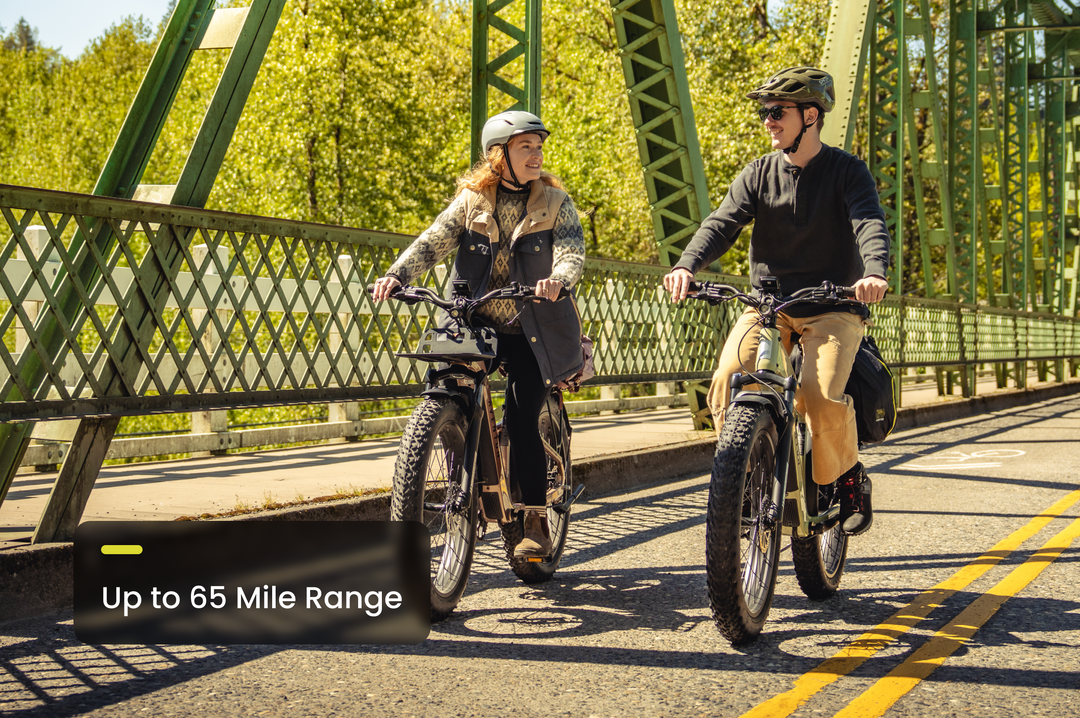 Step-Through Fat Tire Electric Bike – Series 053
