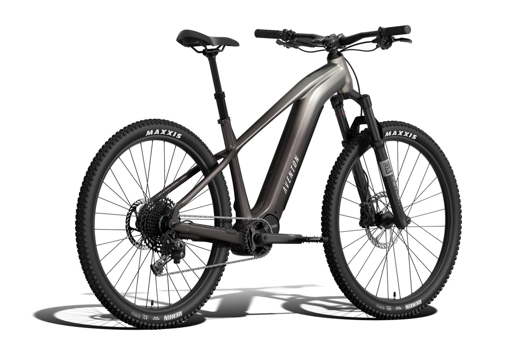Electric Mountain Bike – Series 028