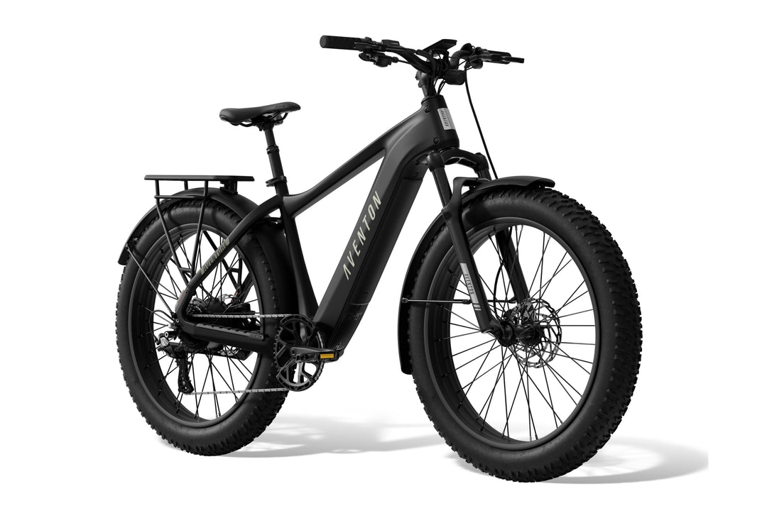 Fat Tire Electric Bike – Series 054