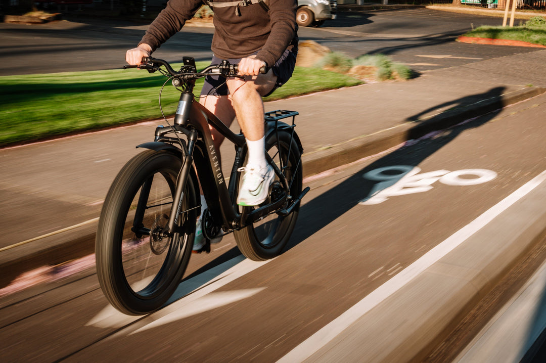 Fat Tire Electric Bike – Series 054