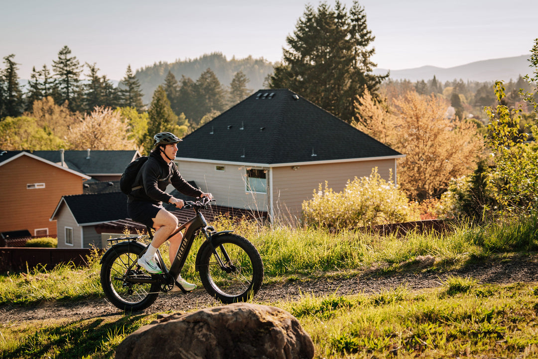 Fat Tire Electric Bike – Series 054