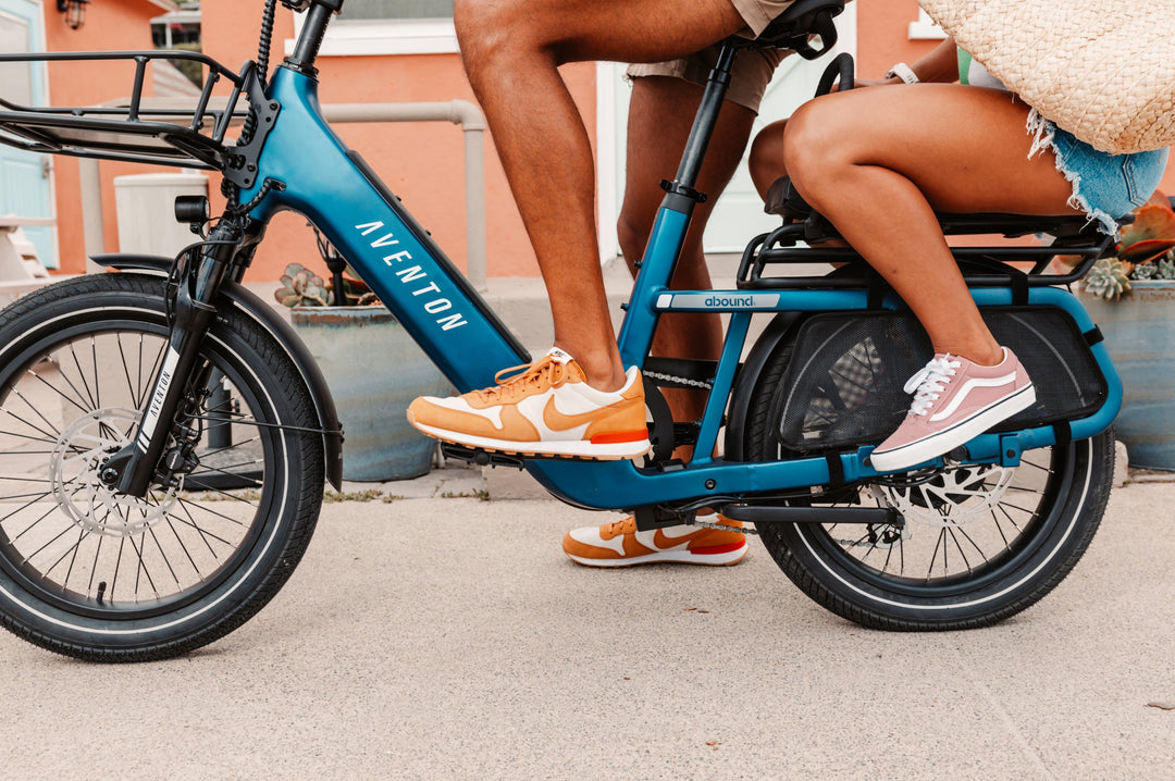 Cargo Electric Bike – Series 123