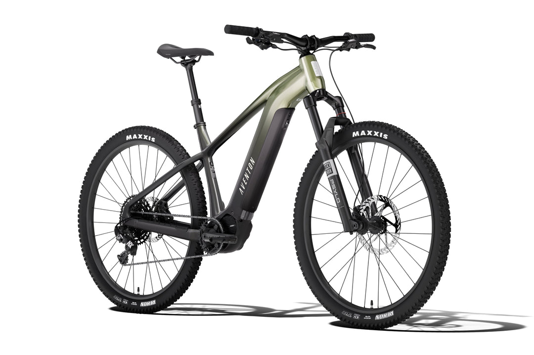 Electric Mountain Bike – Series 028