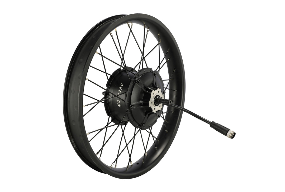 Electric Bike Rear Wheel – Series 209