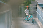 Load image into Gallery viewer, Lightweight City Electric Bike – Series 087