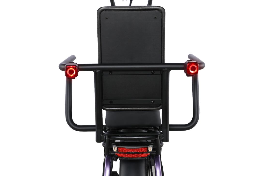 Electric Bike Handrail Light Set – Series 036