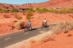 Load image into Gallery viewer, Step-Through City Commuter Electric Bike – Series 066