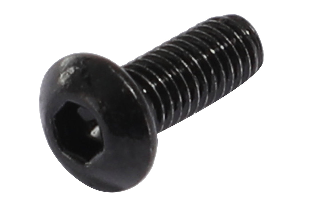 Electric Bike Battery Cover Screw – Series 216