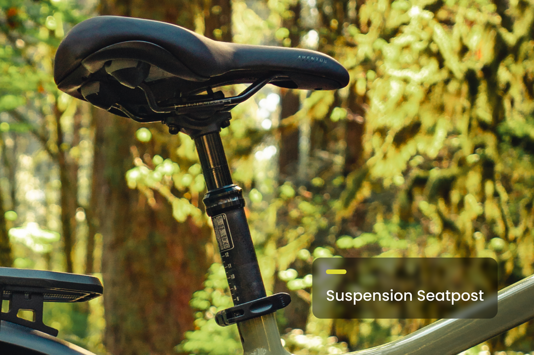 Fat Tire Electric Bike – Series 054