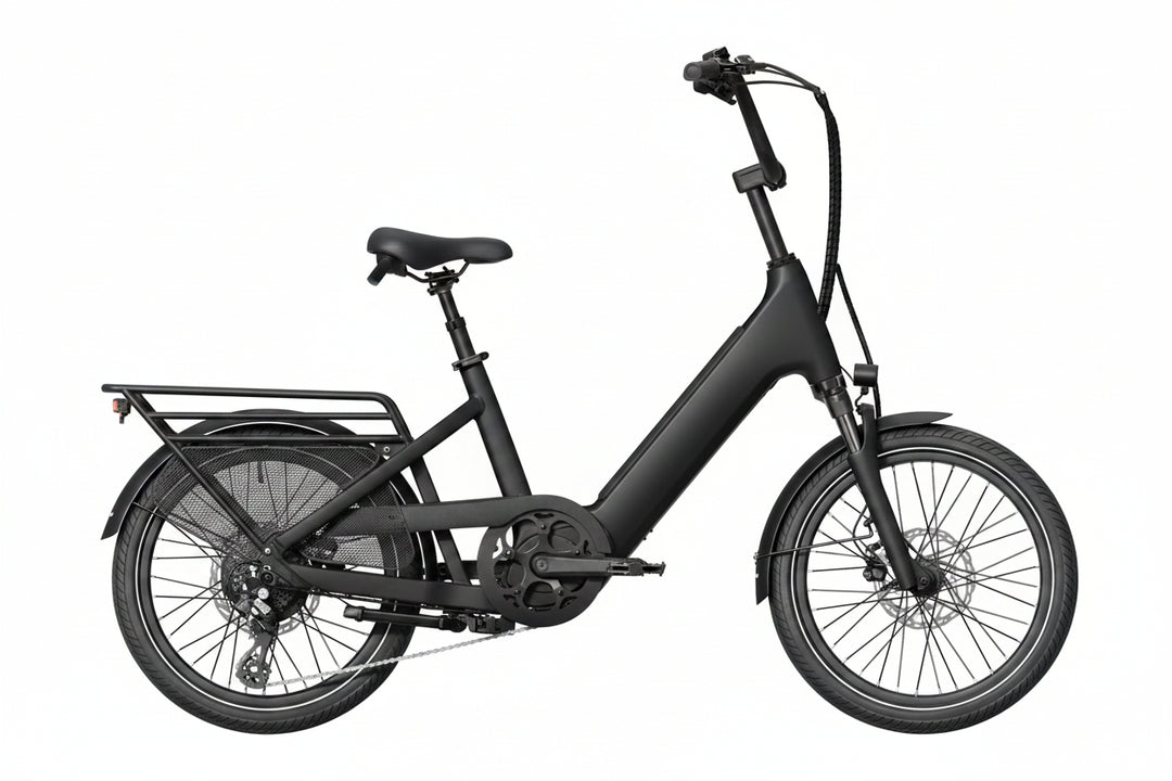 Cargo Electric Bike – Series 123