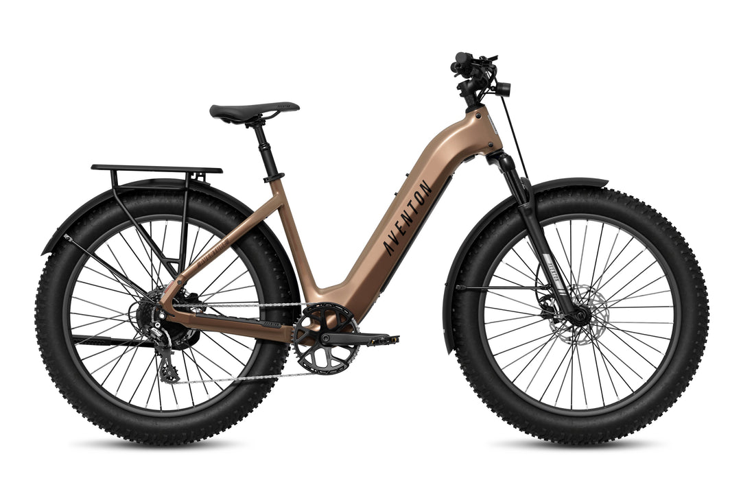 Step-Through Fat Tire Electric Bike – Series 053