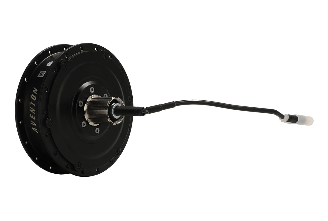 Electric Bike Rear Hub Motor & Nut Set – Series 171