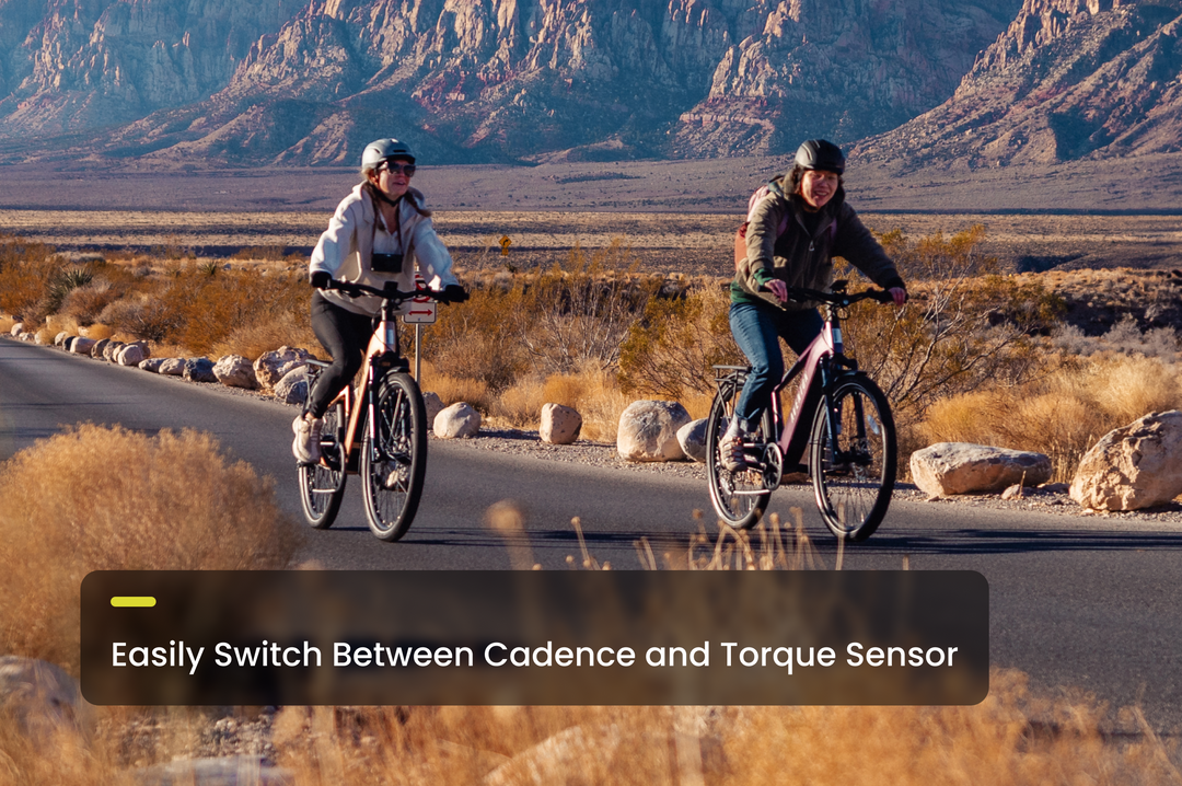Step-Through City Commuter Electric Bike – Series 077