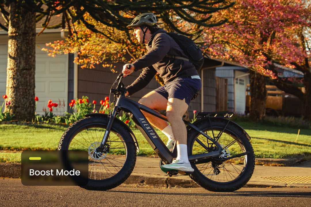Step-Through Fat Tire Electric Bike – Series 053