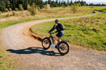 Load image into Gallery viewer, Fat Tire Electric Bike – Series 054