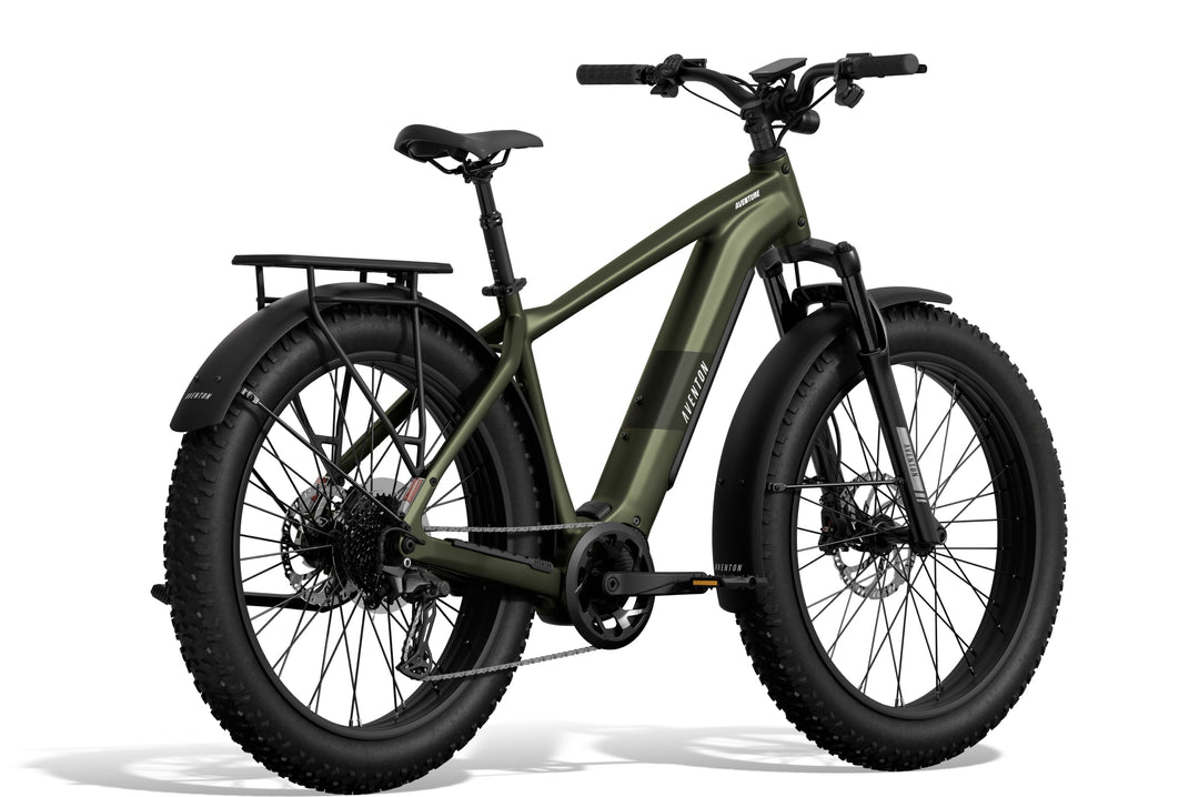 Fat Tire Electric Bike – Series 048