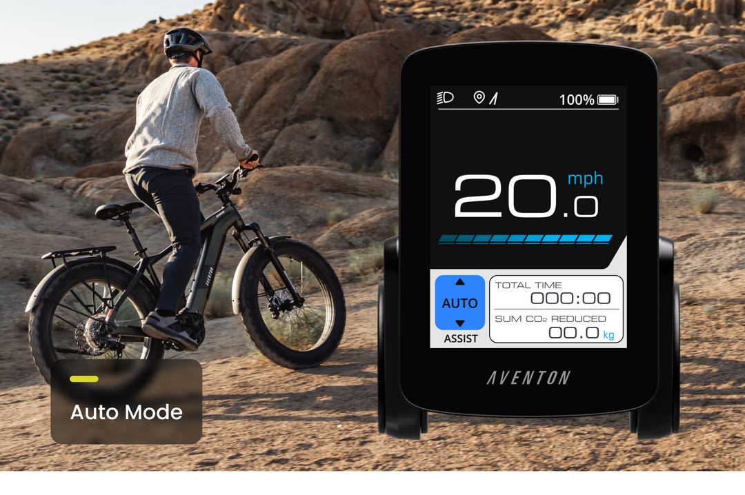 Fat Tire Electric Bike – Series 048